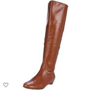 Aerosoles Over The Knee Boots